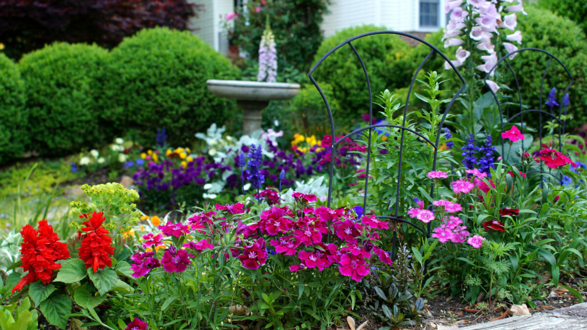 Flowers at Countryhouse