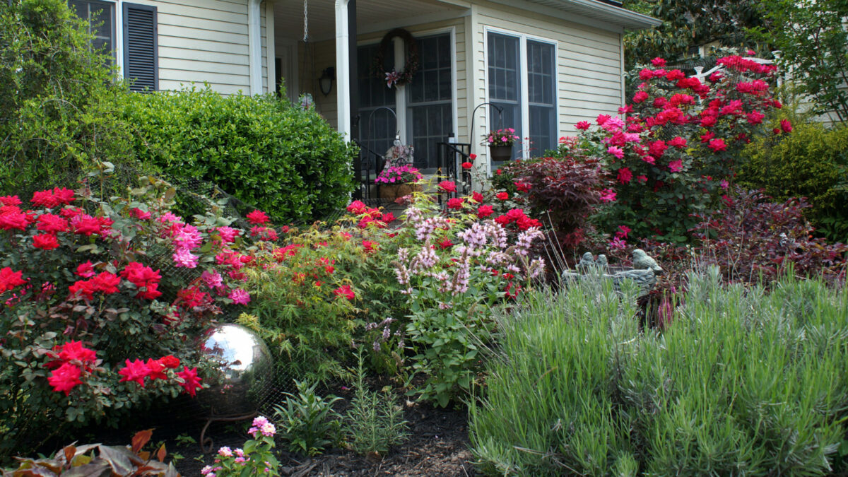 A flower garden in front of a home at Countryhouse